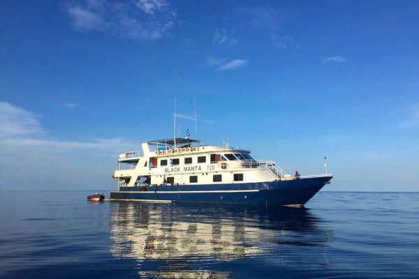 Asiaqua - MV Black Manta