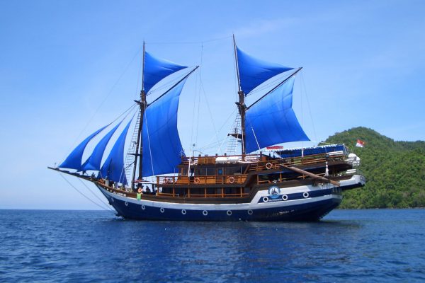 Asiaqua - Cheng Ho Komodo