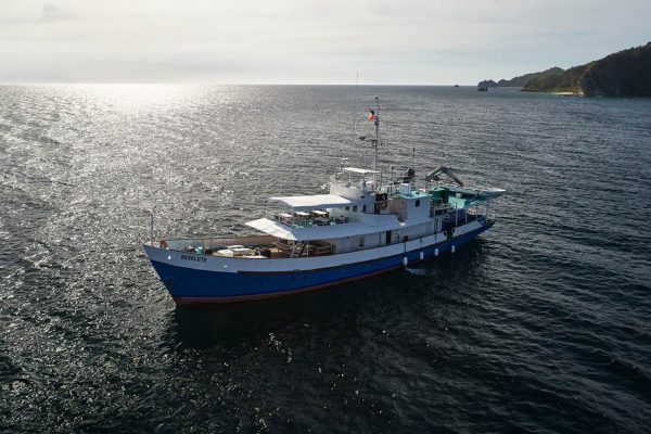Asiaqua - Croisière Tubbataha Asiaqua Avril 2019