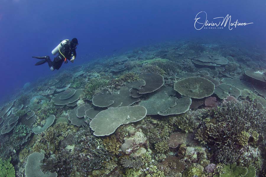 Croisières Mer De Banda Asiaqua