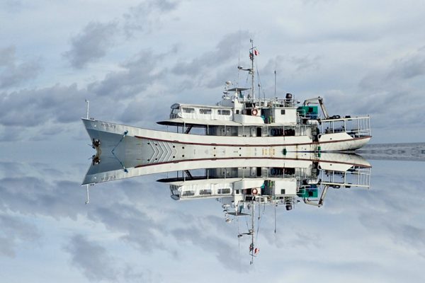 Asiaqua - XXL au XXS Resolute Avril 2019