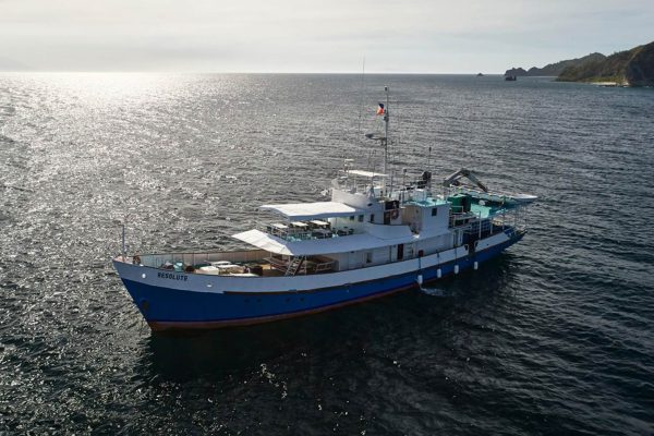Asiaqua - Tubbataha Asiaqua Cruise April 2019