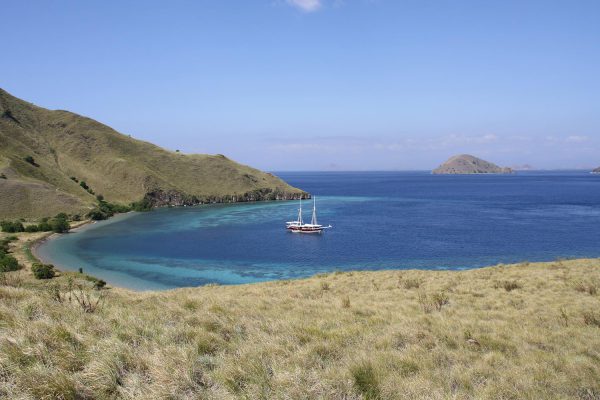 Asiaqua - Duyung Baru Komodo