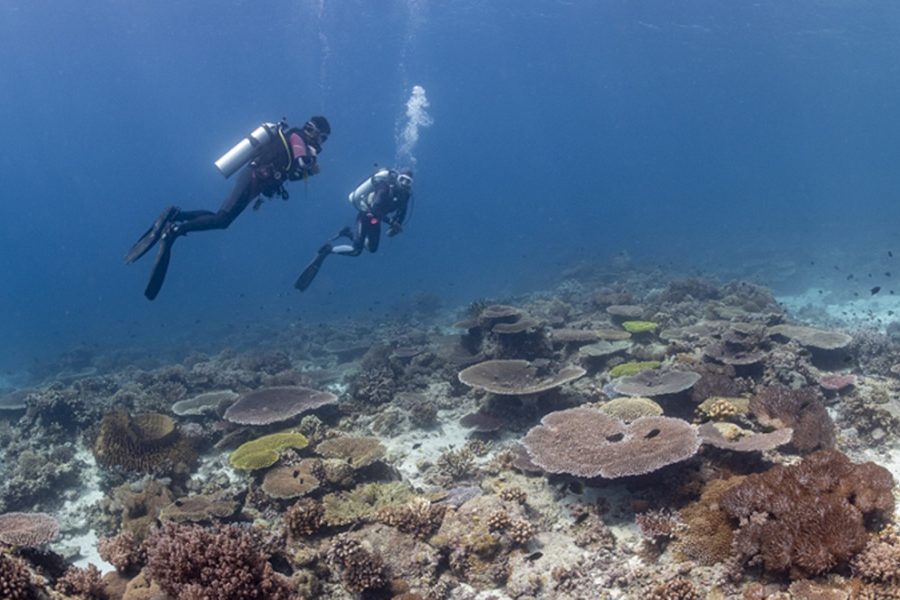Cagayancillo-Combine-Asiaqua