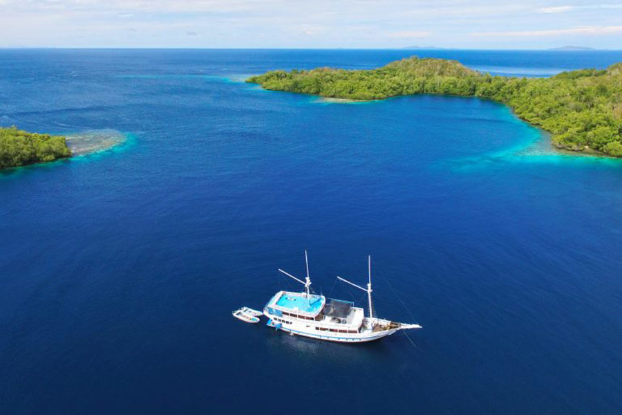 Pearl-of-Papua-Asiaqua