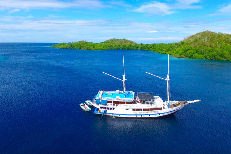 Pearl-of-Papua-Asiaqua
